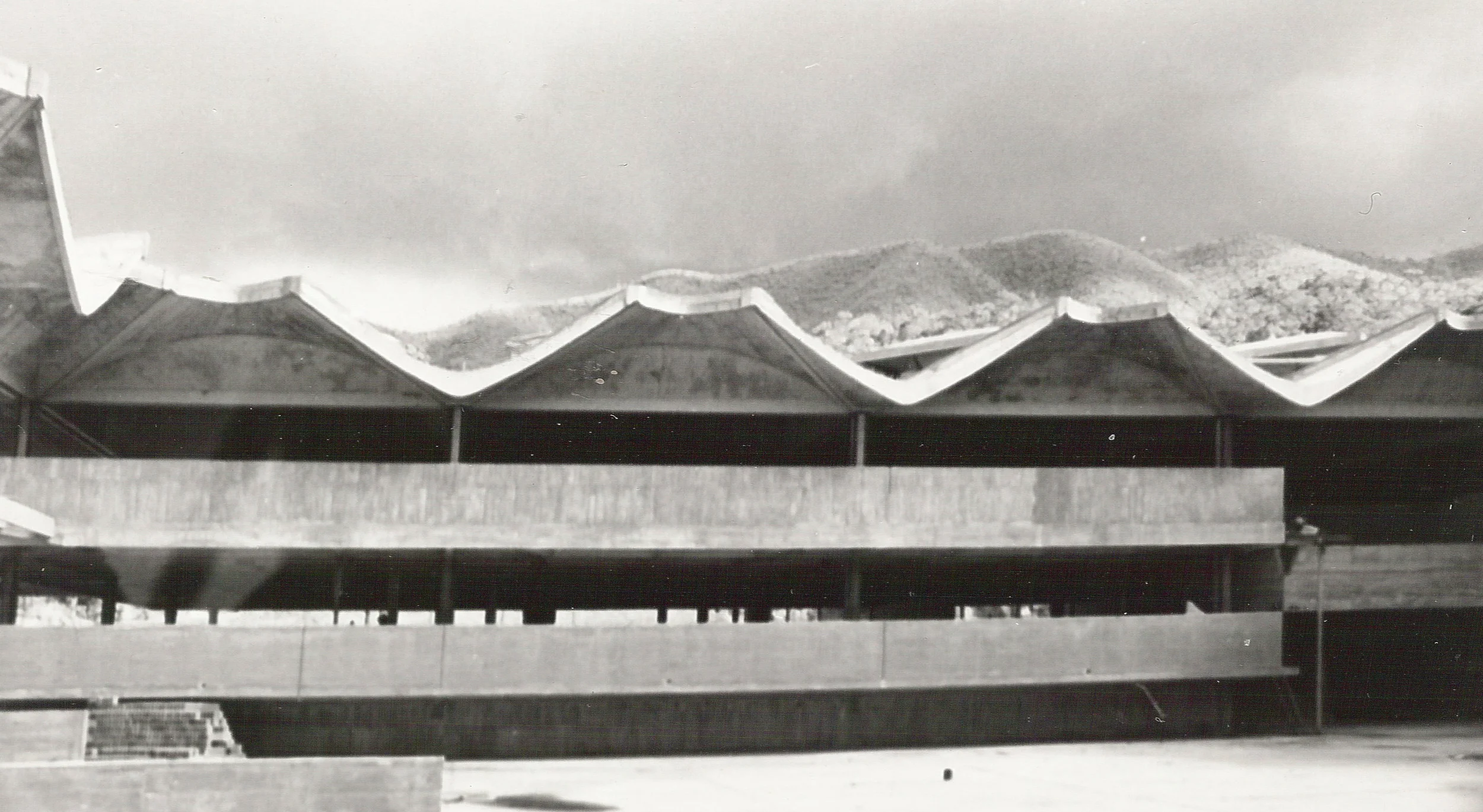 Lyceum Roof Vaults
