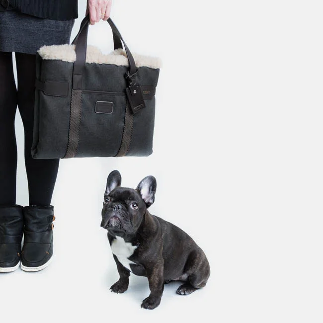 tumi cloud 7 dog carrier