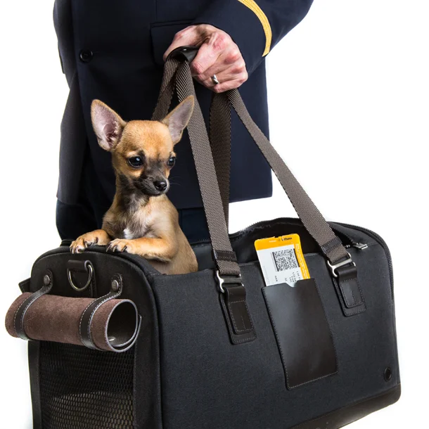 micro pooch dog carrier