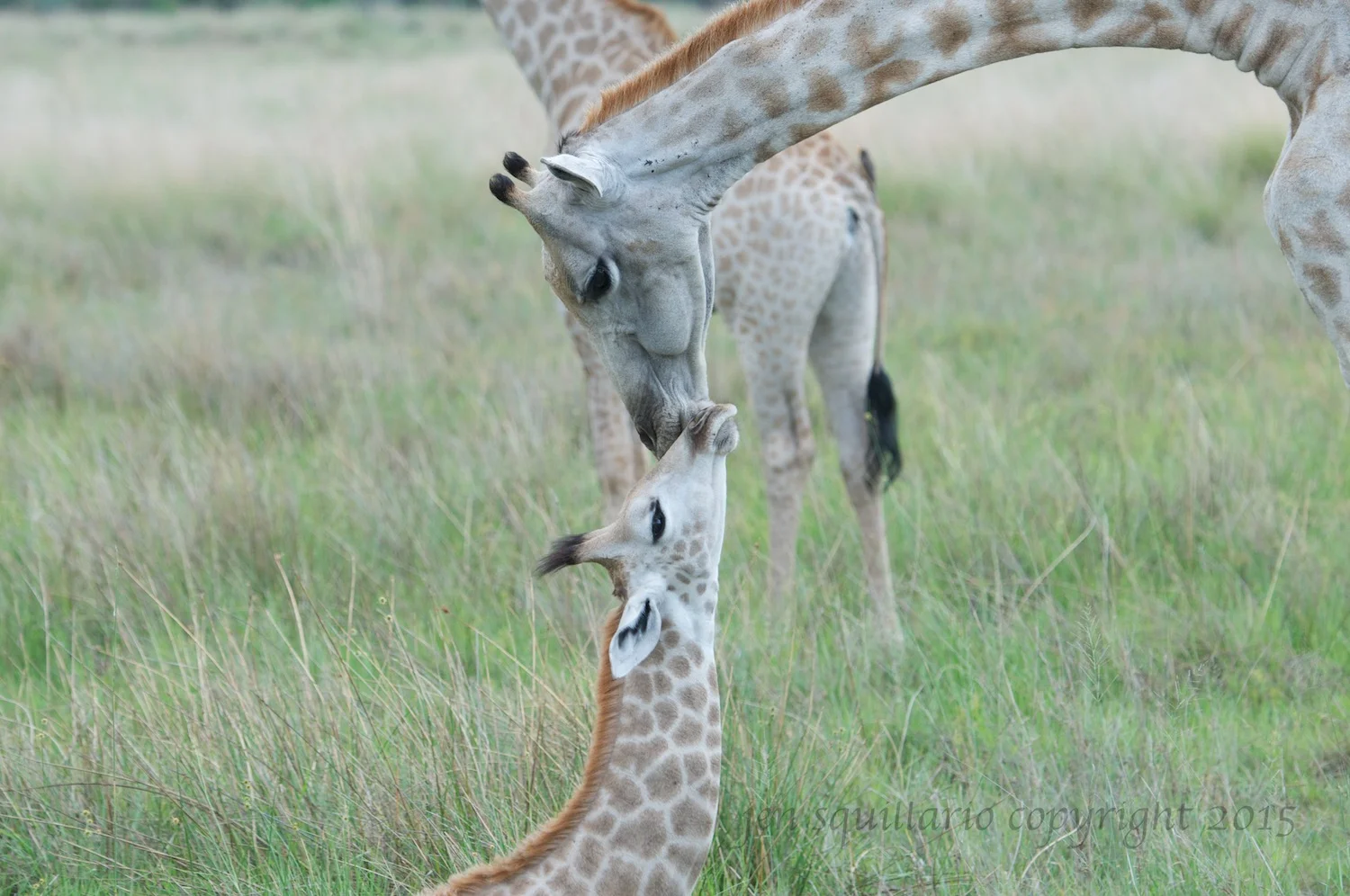 Mother and Child
