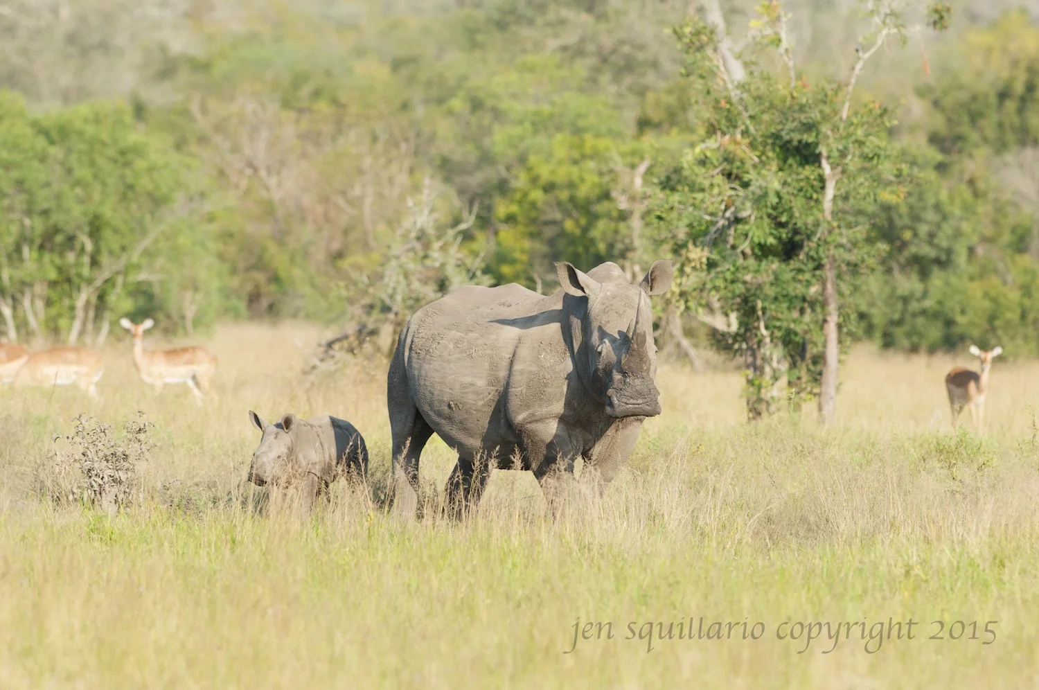Hunted Mother and Baby