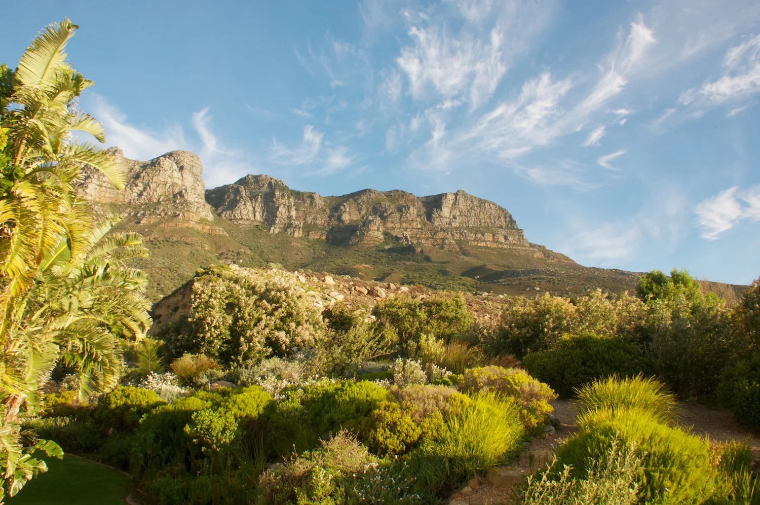 Table Mountain N.P. at Dusk