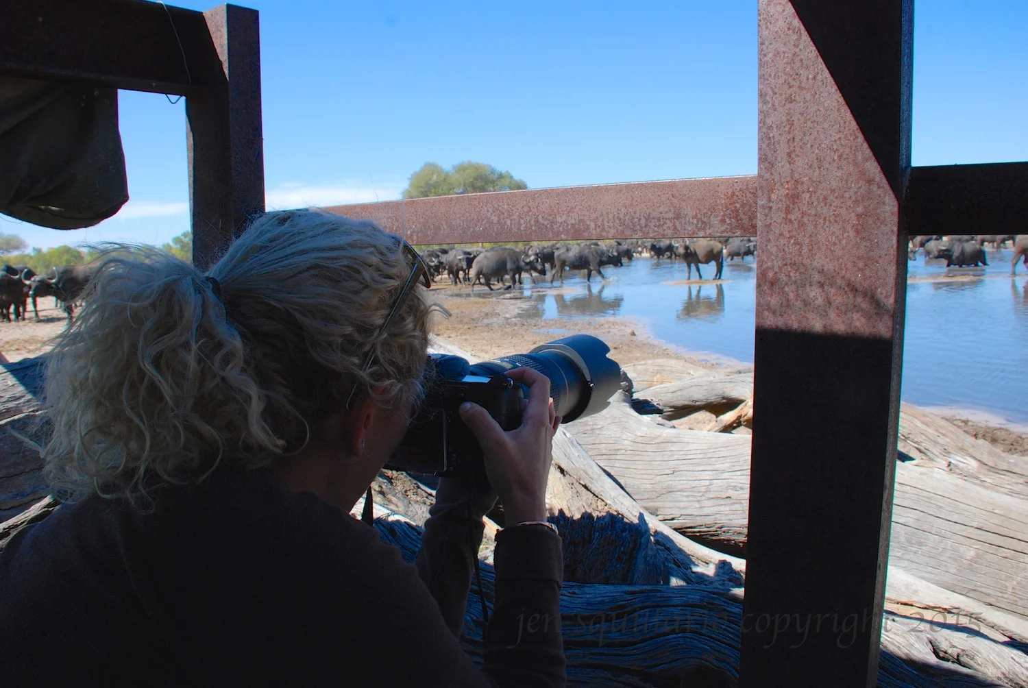 What's in my camera bag (written by Jen).