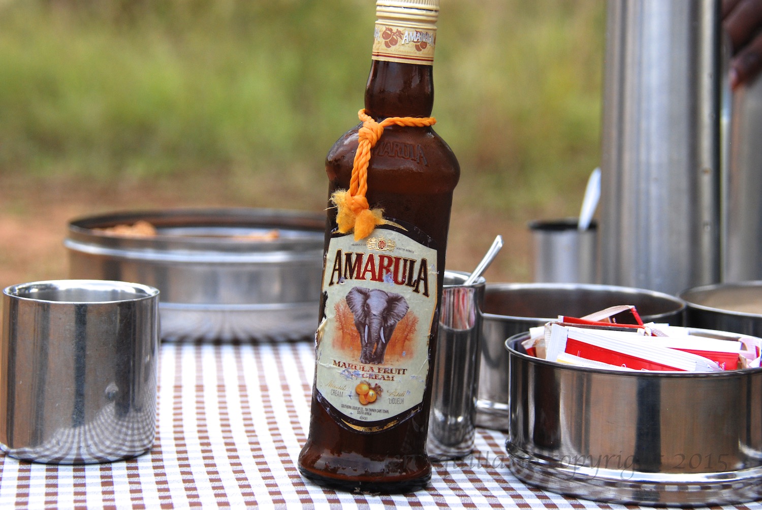 Amarula is like Bailey's but better, and it is a perfect substitute for milk and sugar in your morning coffee. See www.amarula.com