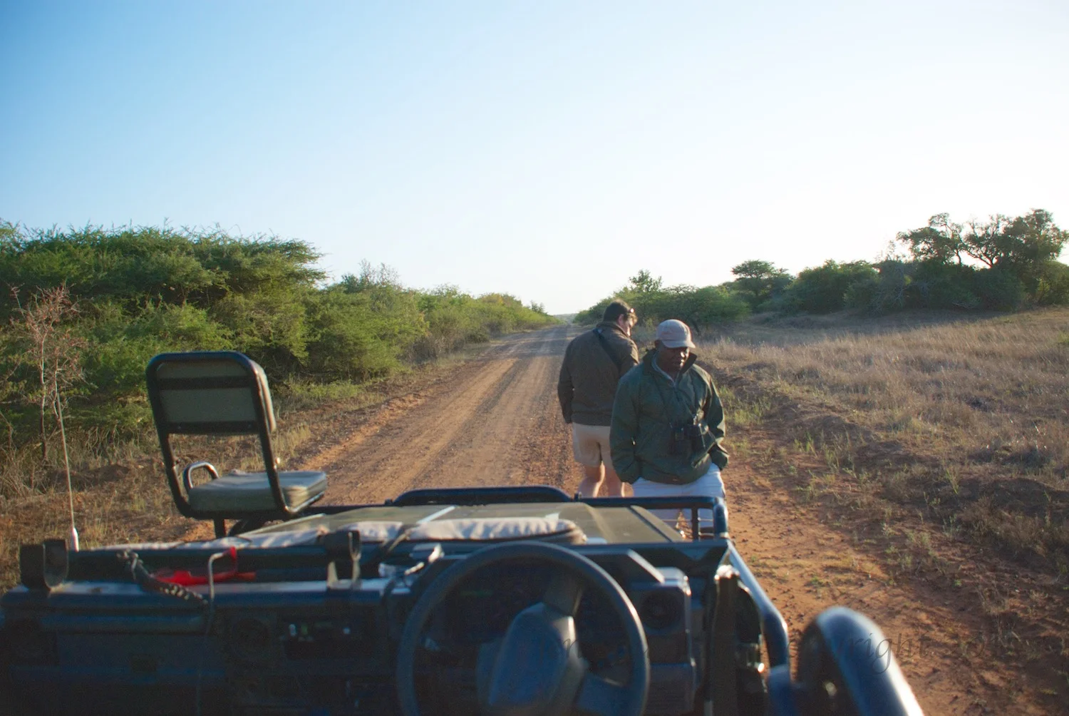 The view from the truck of Able (facing truck) and Giles (facing away from the truck) checking for tracks of the cheetah.