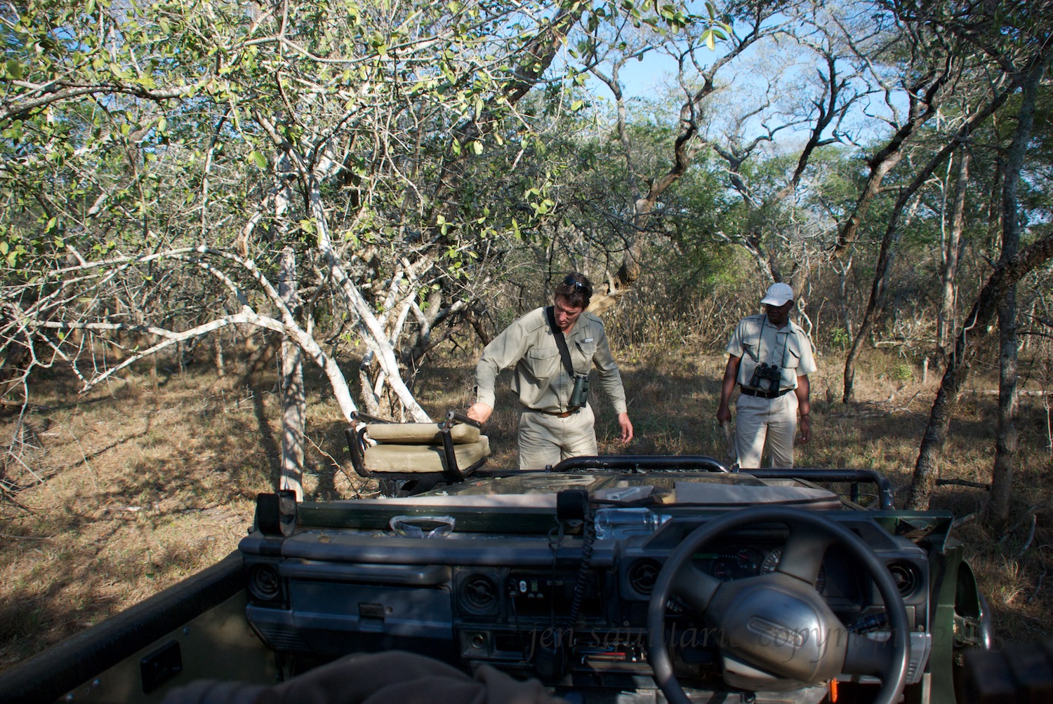 Giles and Able dealing with a stubborn tree while tracking the lioness and cubs. I'm pretty sure Able was laughing the entire time.