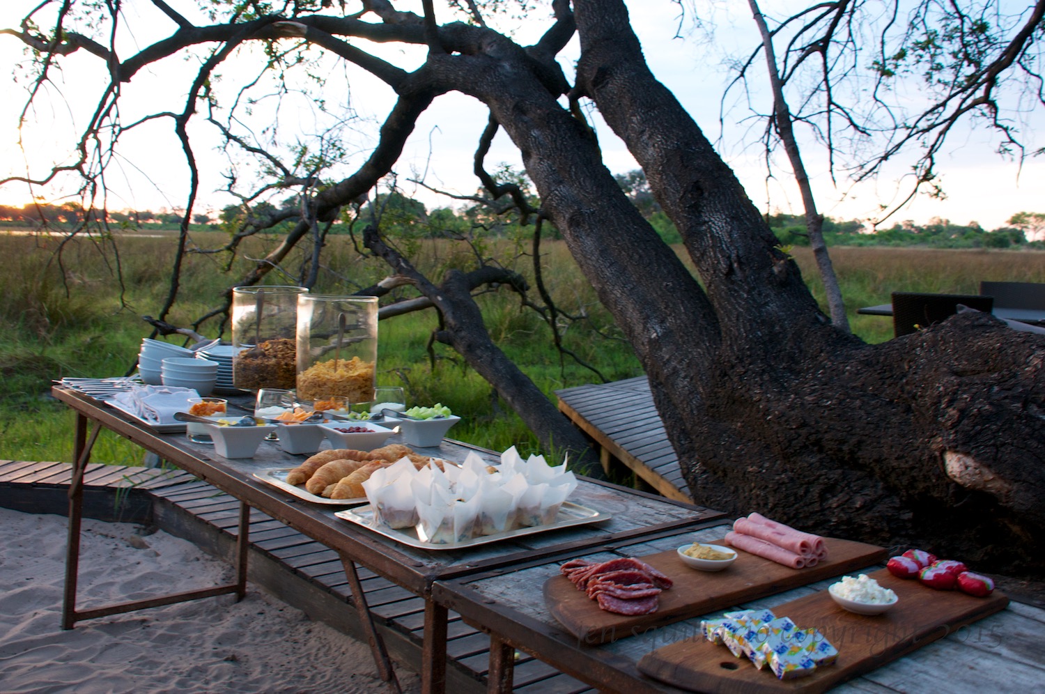  Pre-Safari breakfast with a view of the bush. 