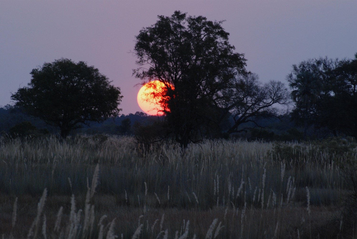 Chitabe Camp August 2012