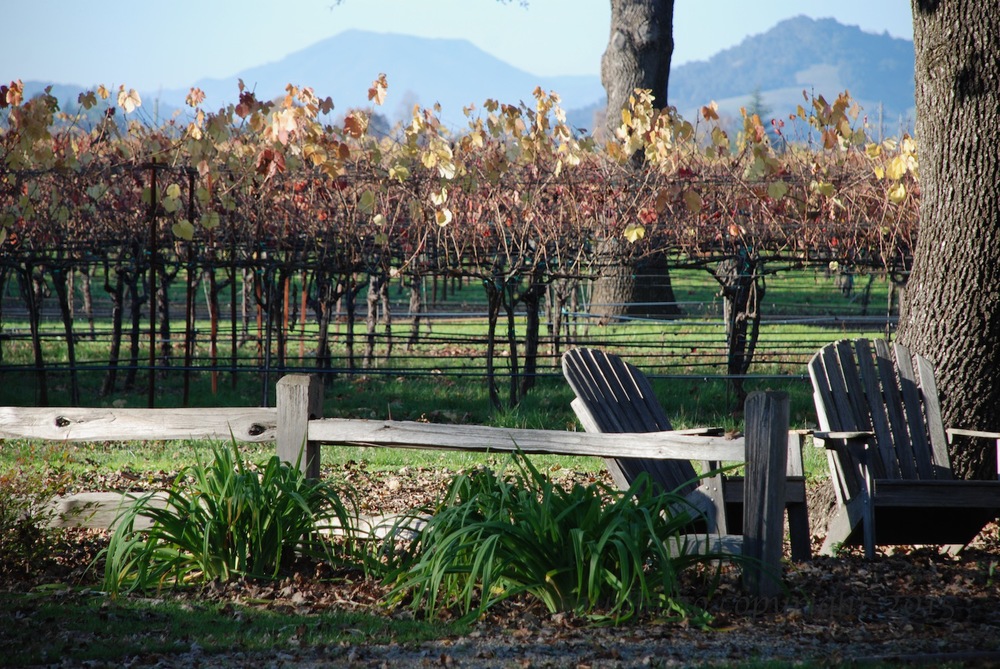 Fall at a Winery (2008)