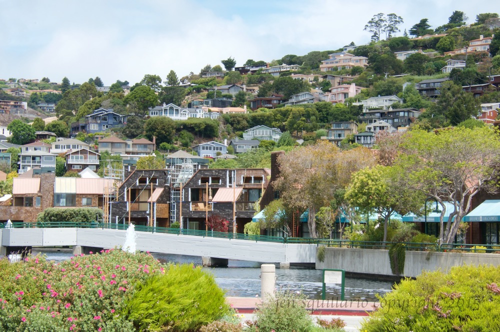 Tiburon from the Ferry