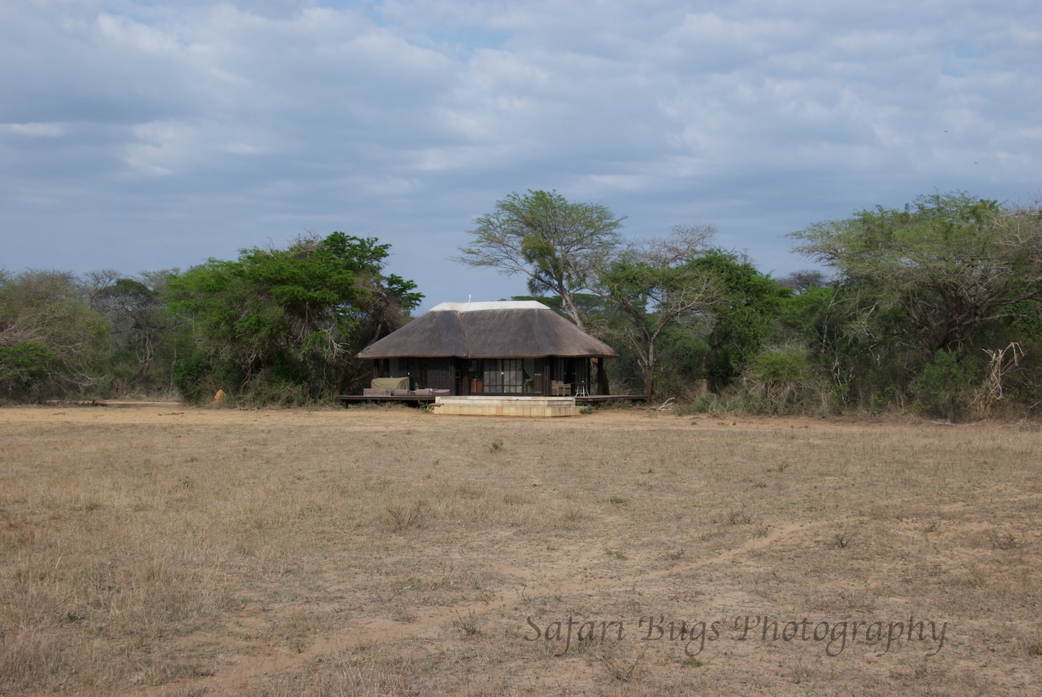  Our secluded suite. 