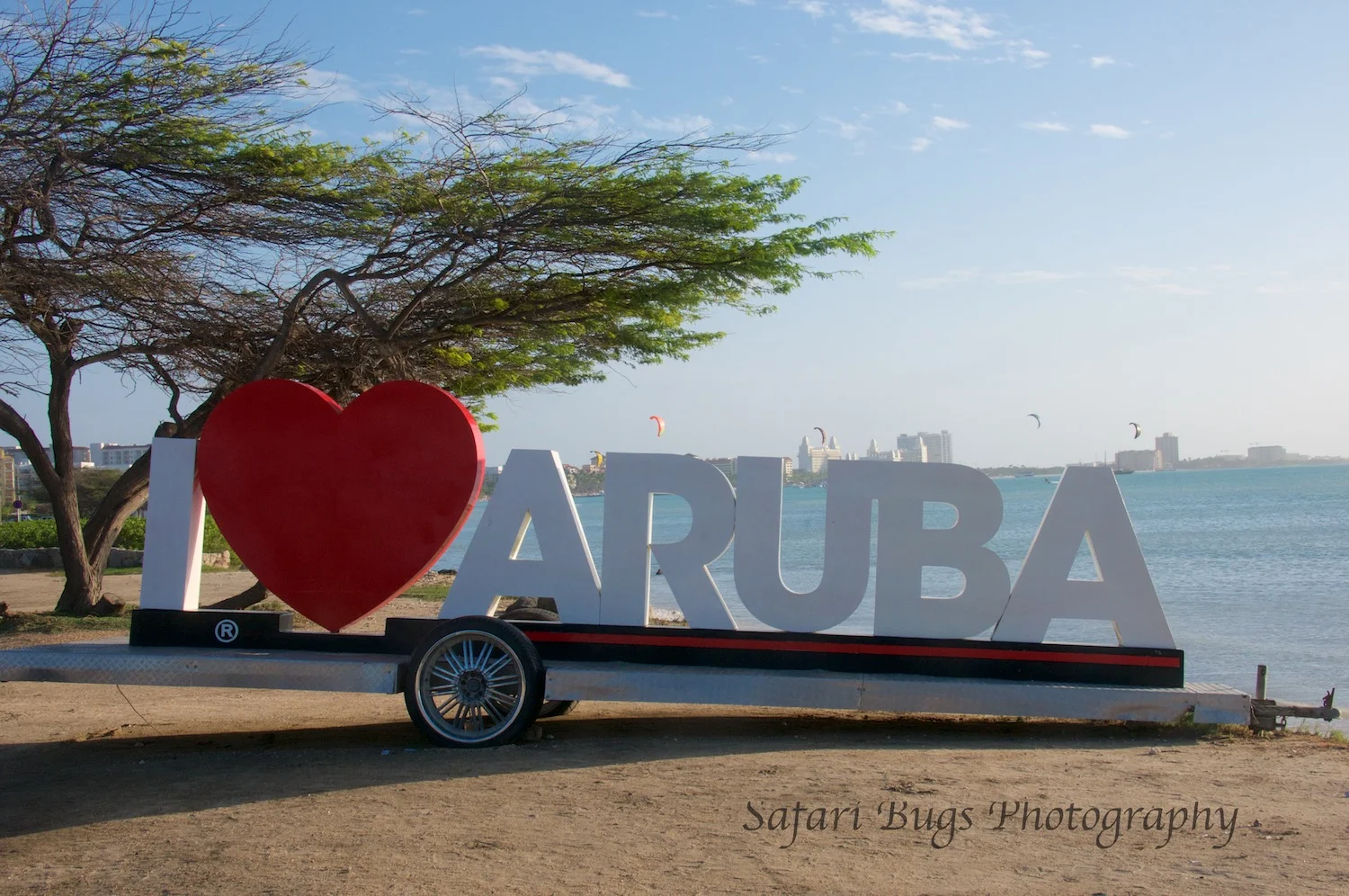 Beach Safari:  10 Things We Love About Aruba
