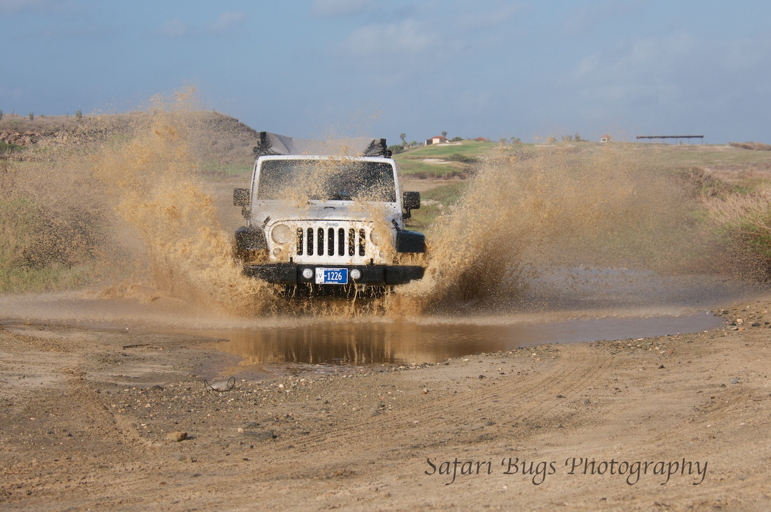 Playing in Puddles