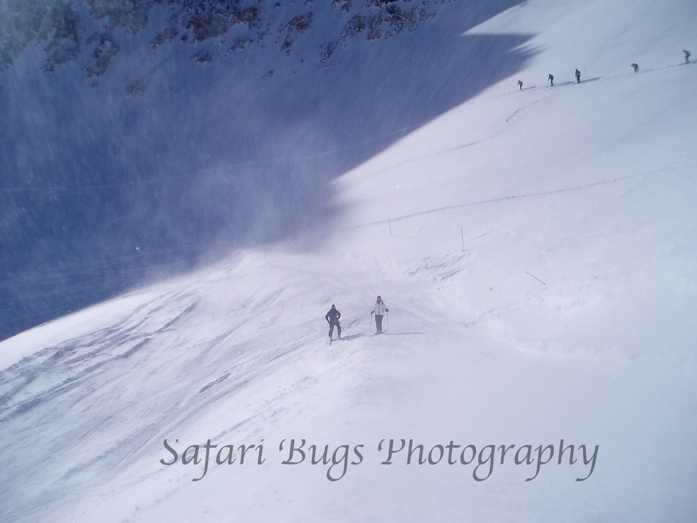 Mineral Basin - 2007