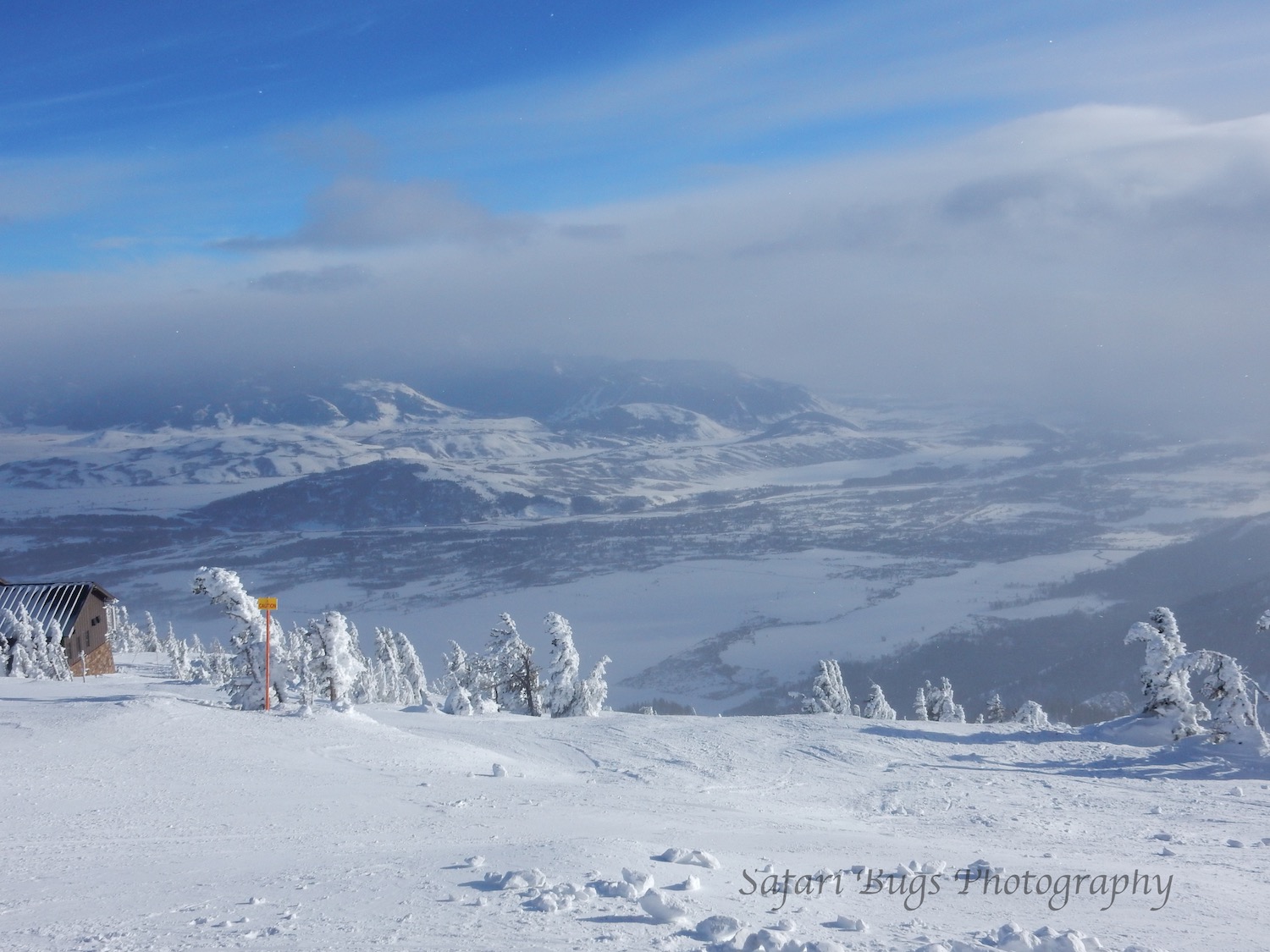 Rendezvous Bowl-2015-16