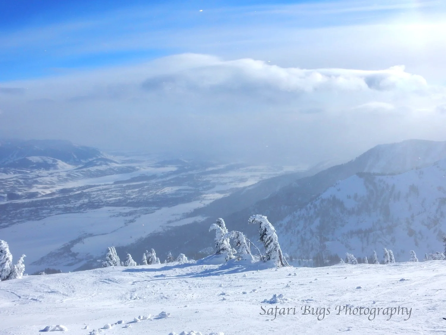 Snow Safari:  Where We Love to Ski and Board Part 1