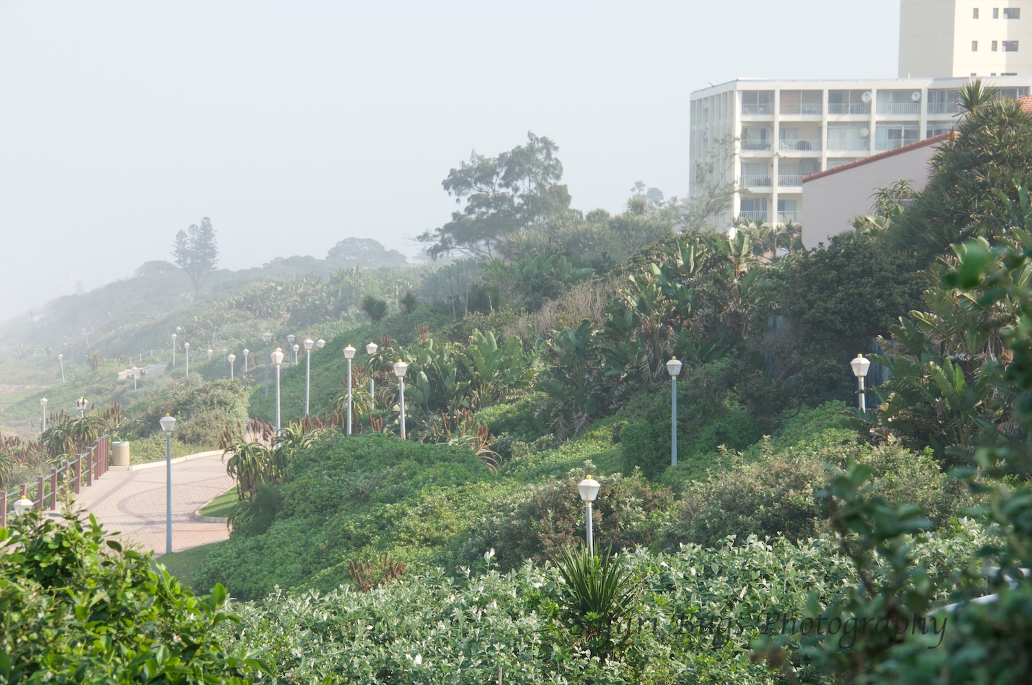 The Promenade