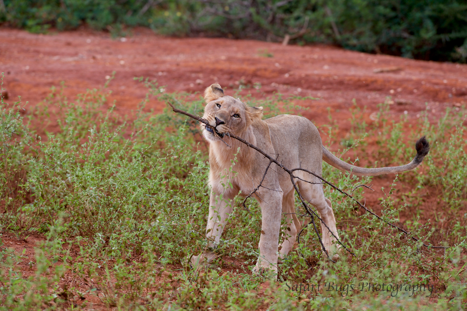 DSC_6197.jpg