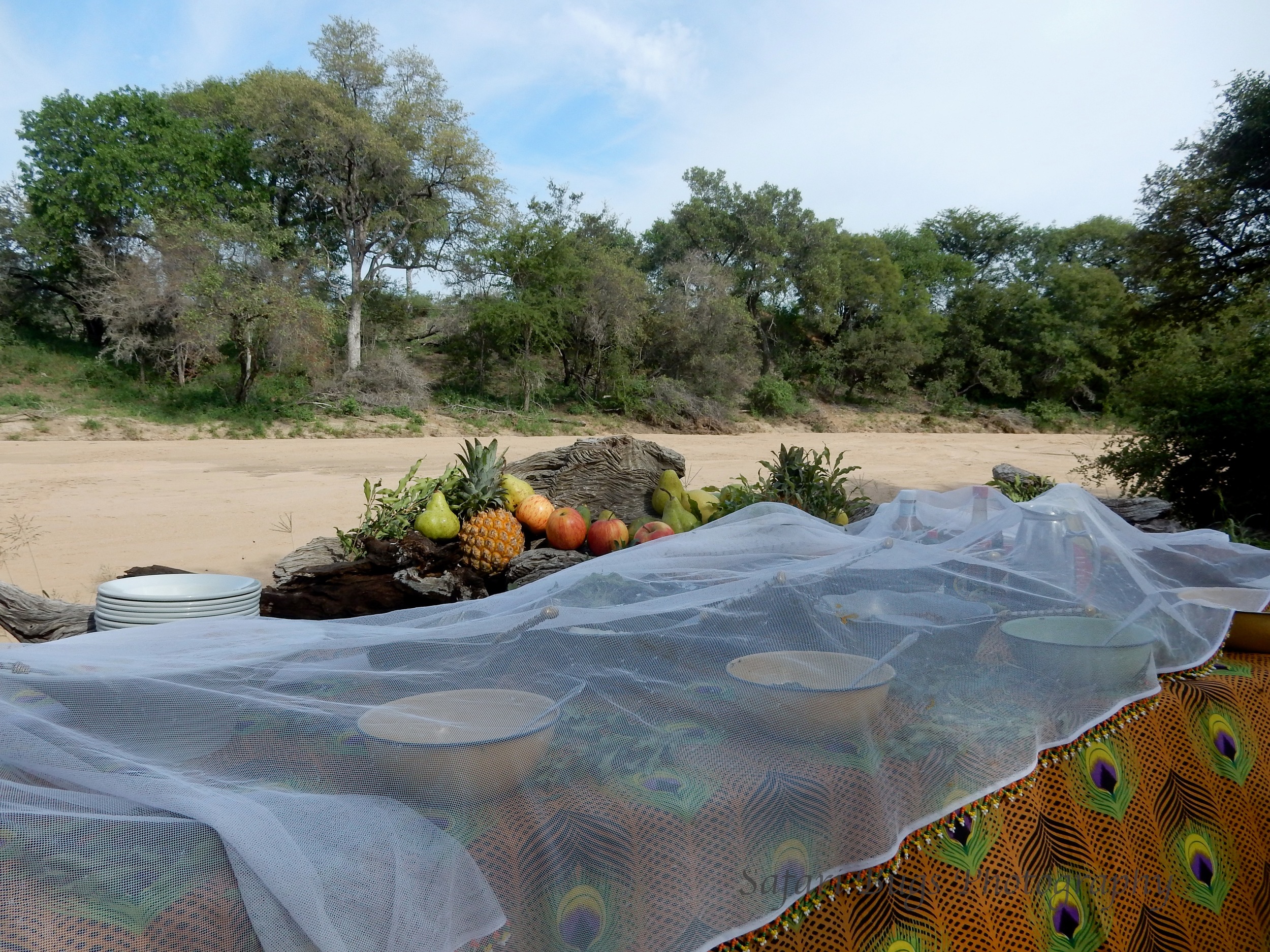 Bush Breakfast by the River Bed