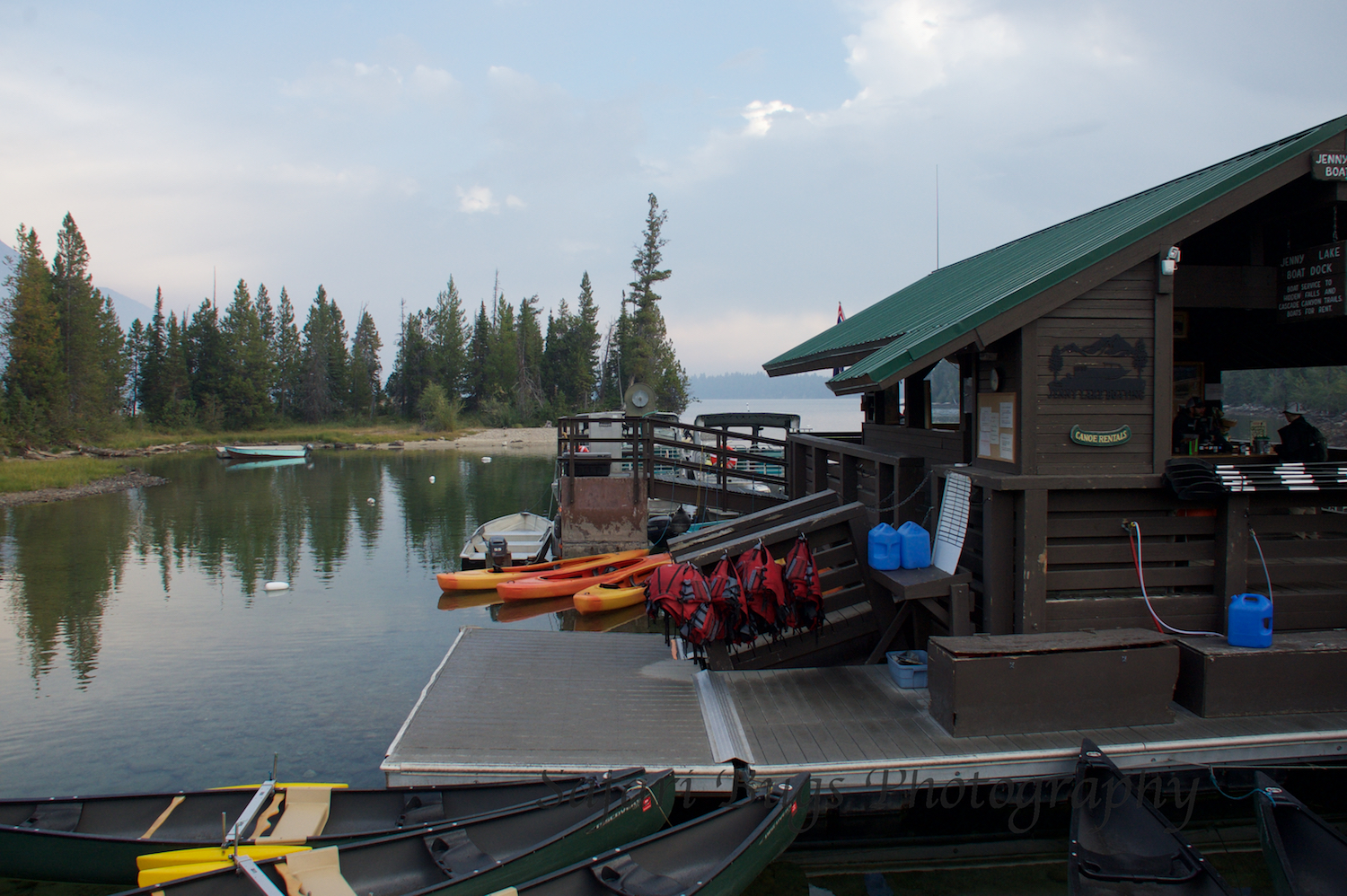 Jenny Lake I Safari Bugs.jpg