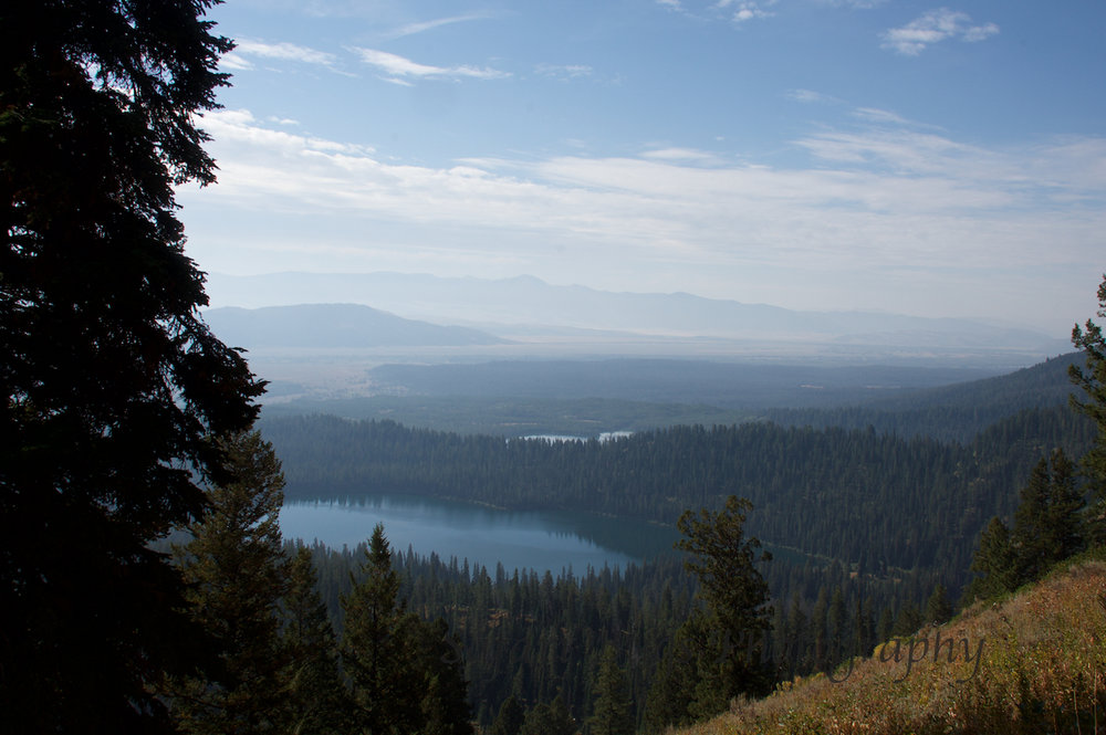 Amphitheater Lake V Safari Bugs.jpg