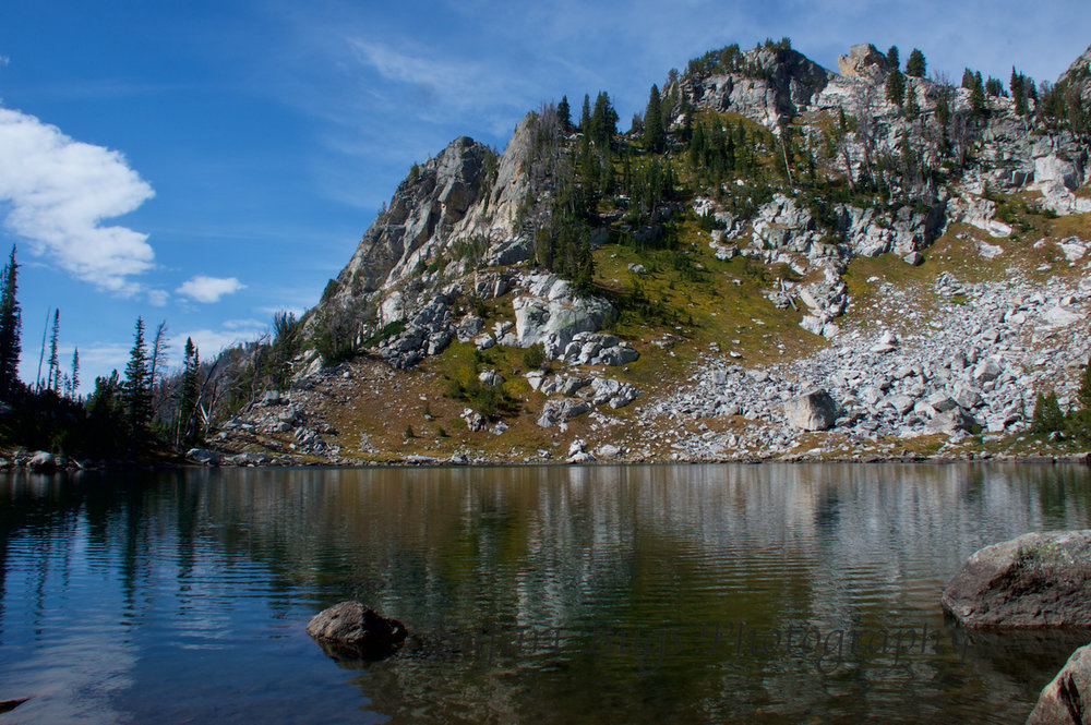 Amphitheater Lake VII Safari Bugs (1).jpg