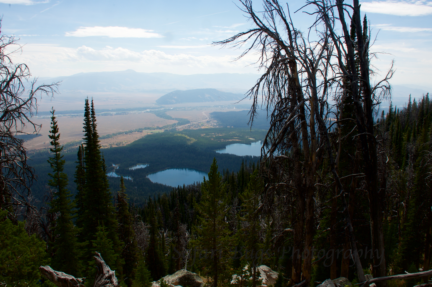 Amphitheater Lake XIII Safari Bugs.jpg