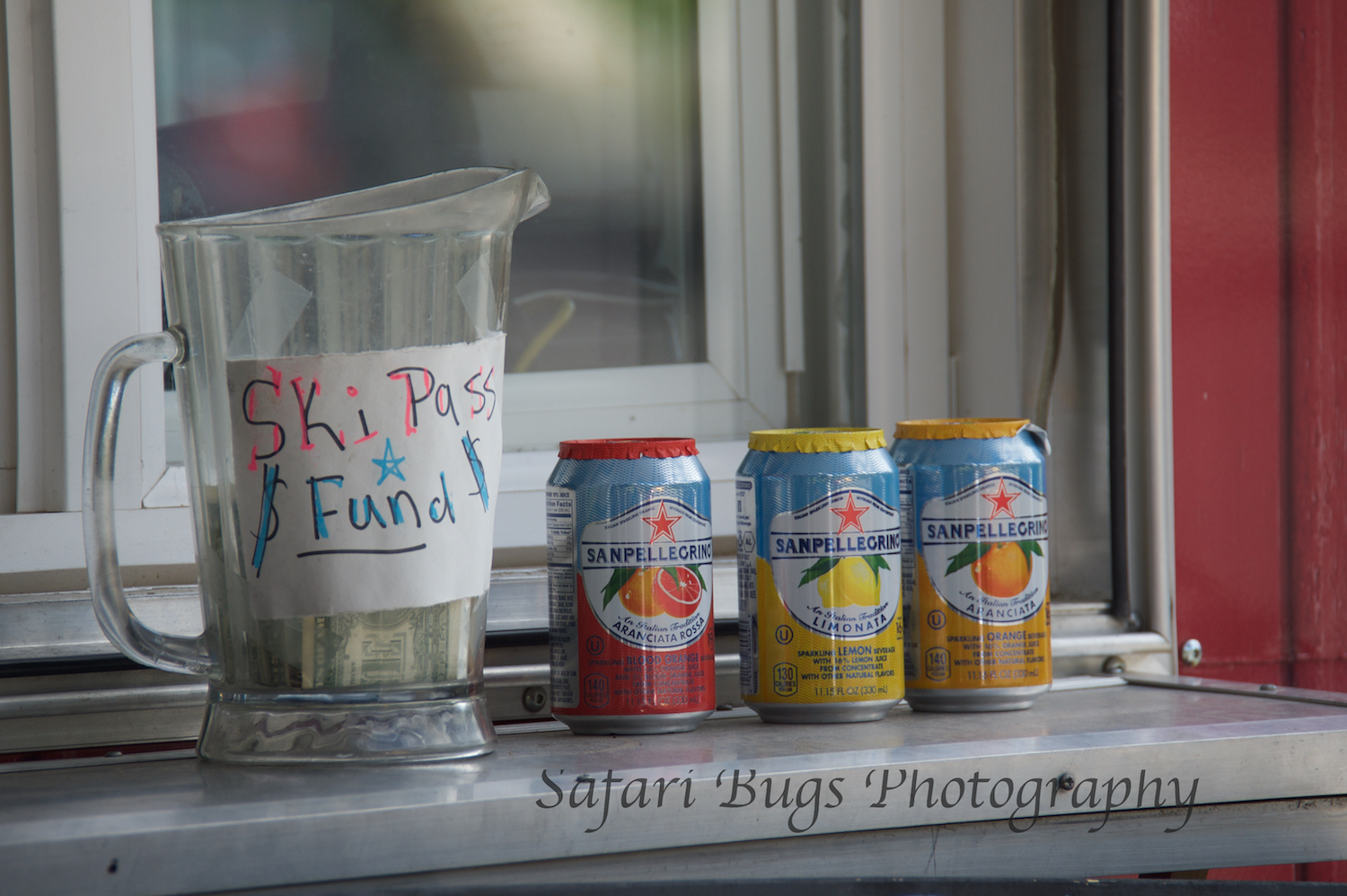 Bodega III Safari Bugs.jpg