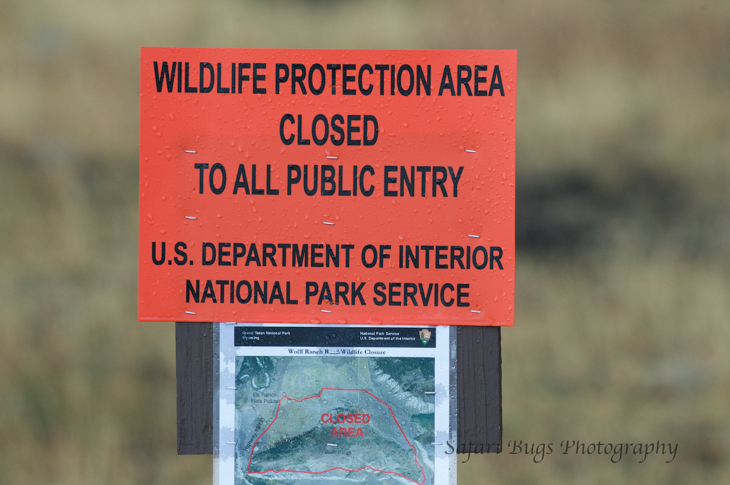 Where the Bison Were at First