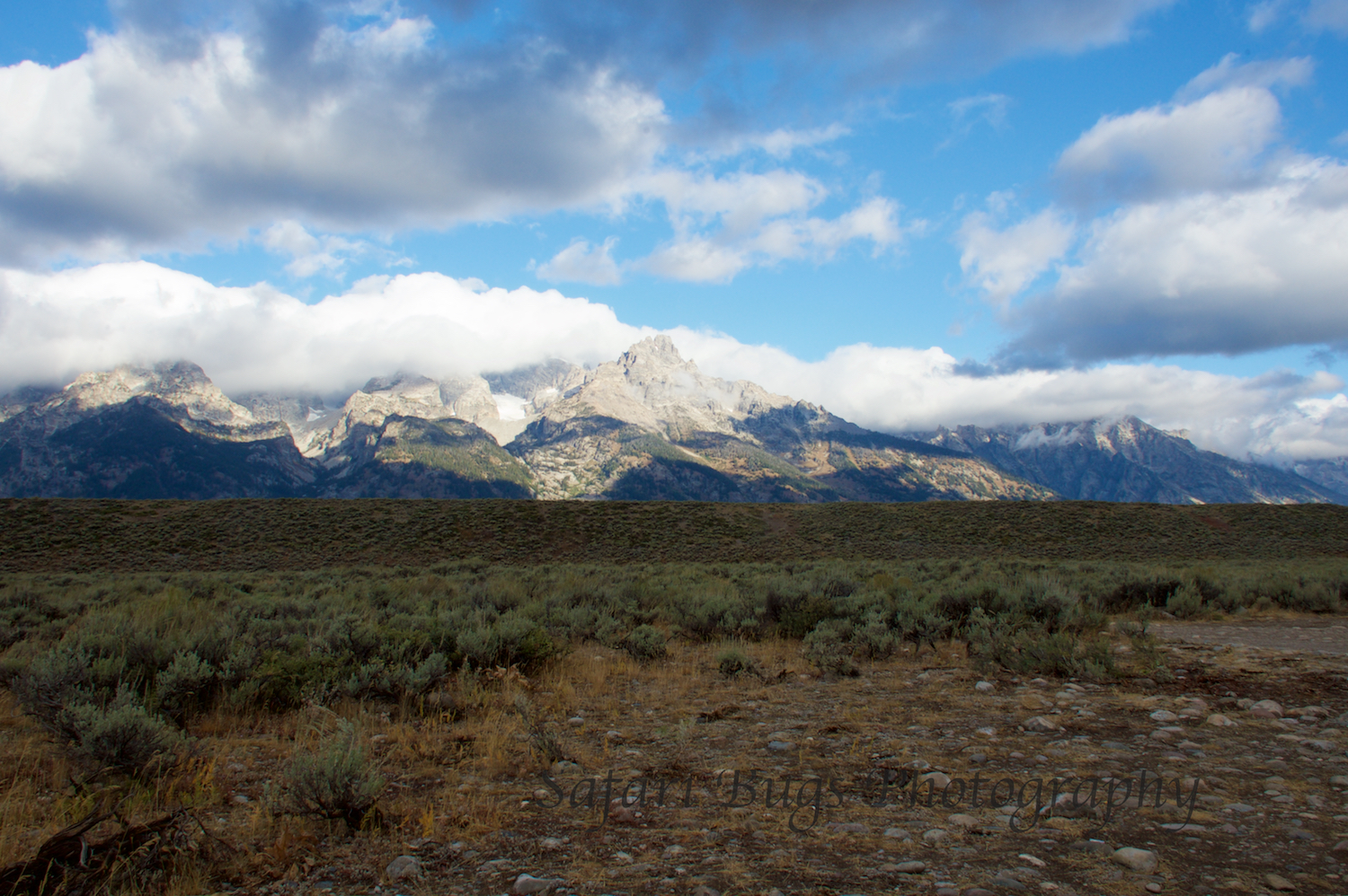 Grand Teton III Safari Bugs.jpg