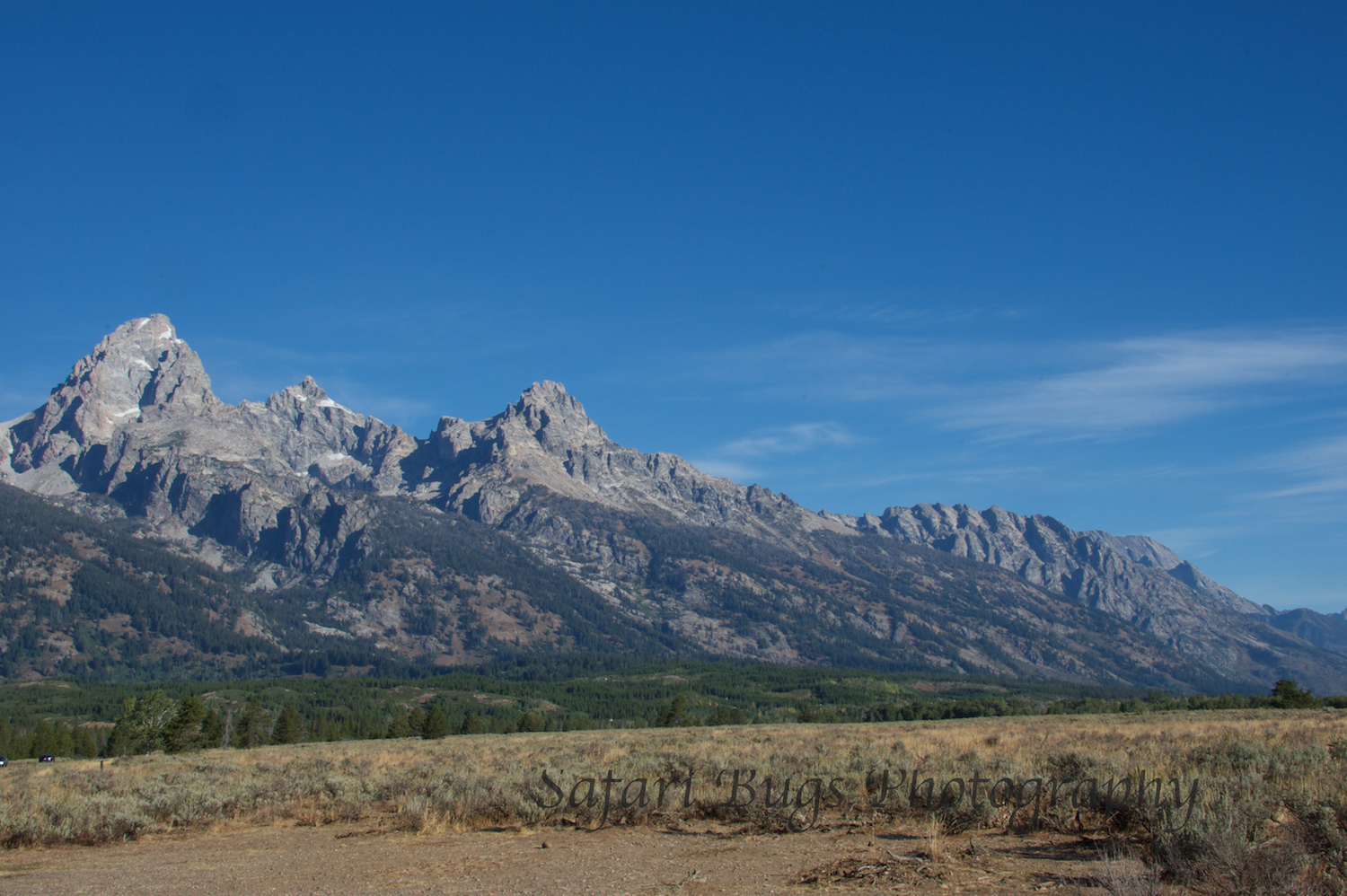 Grand Teton V Safari Bugs.jpg