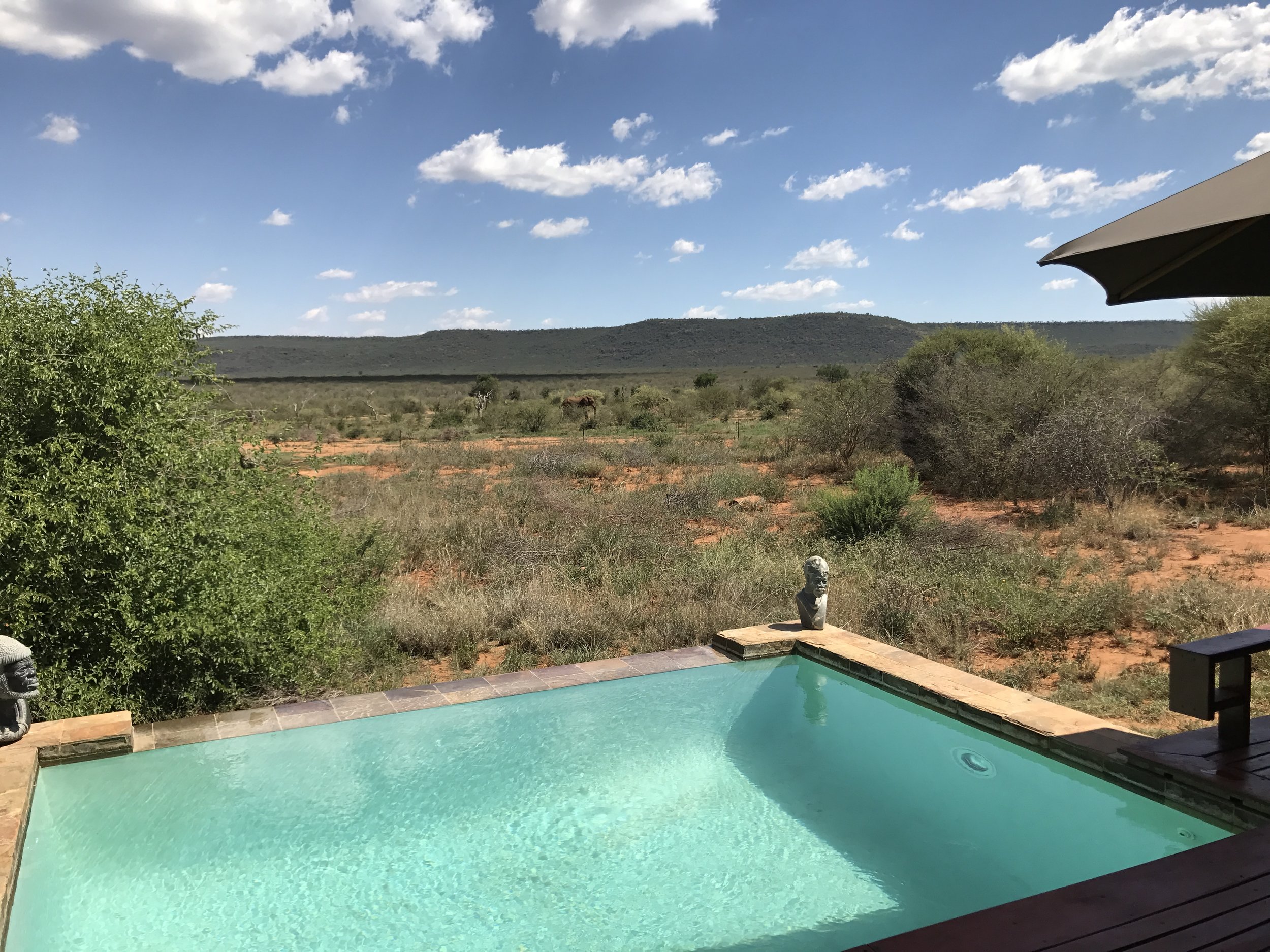Your Private Plunge Pool
