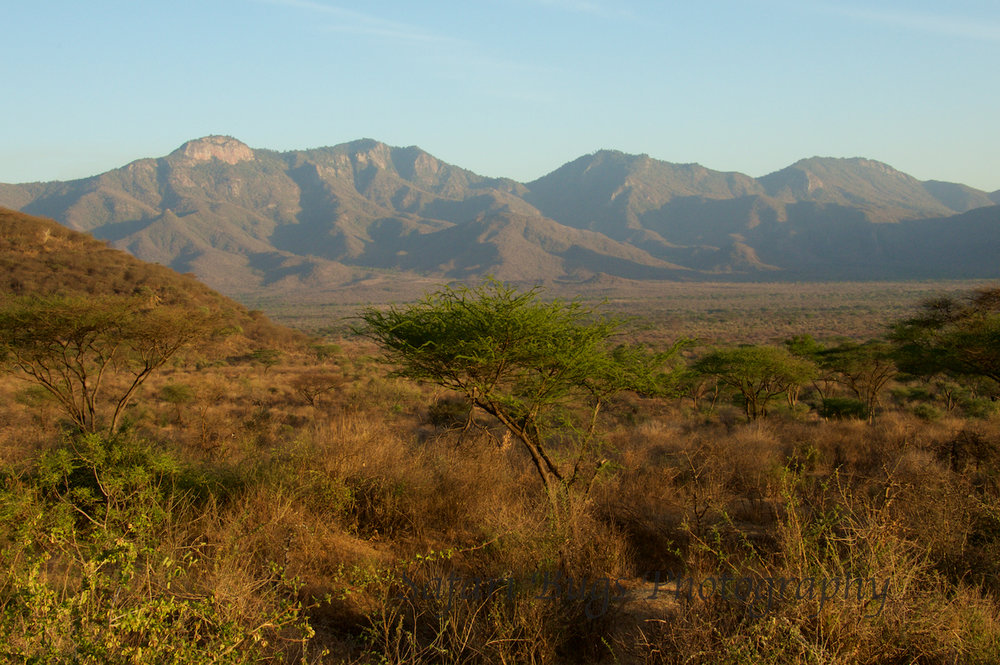  The View from Camp 