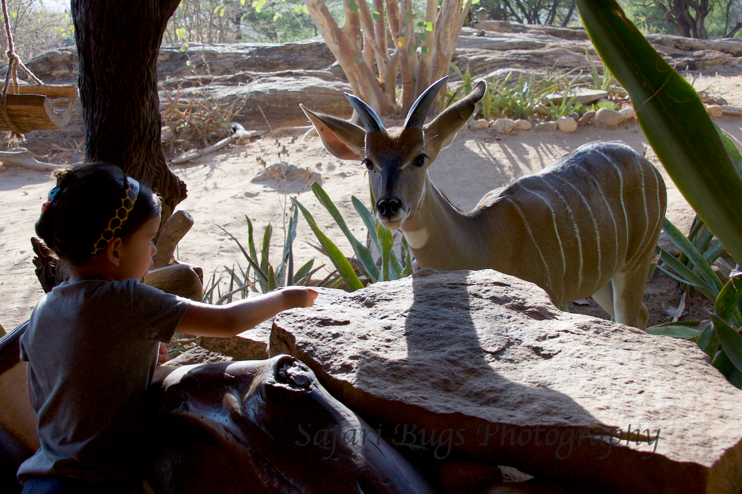 Daniela and the Nyala
