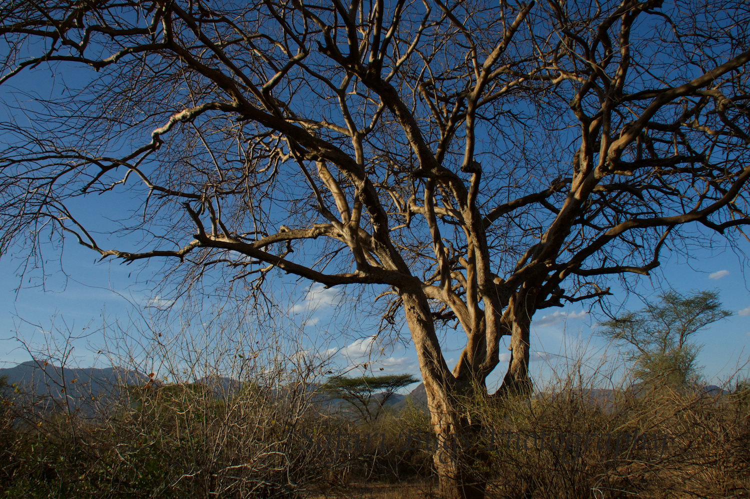 Sunset at Sarara