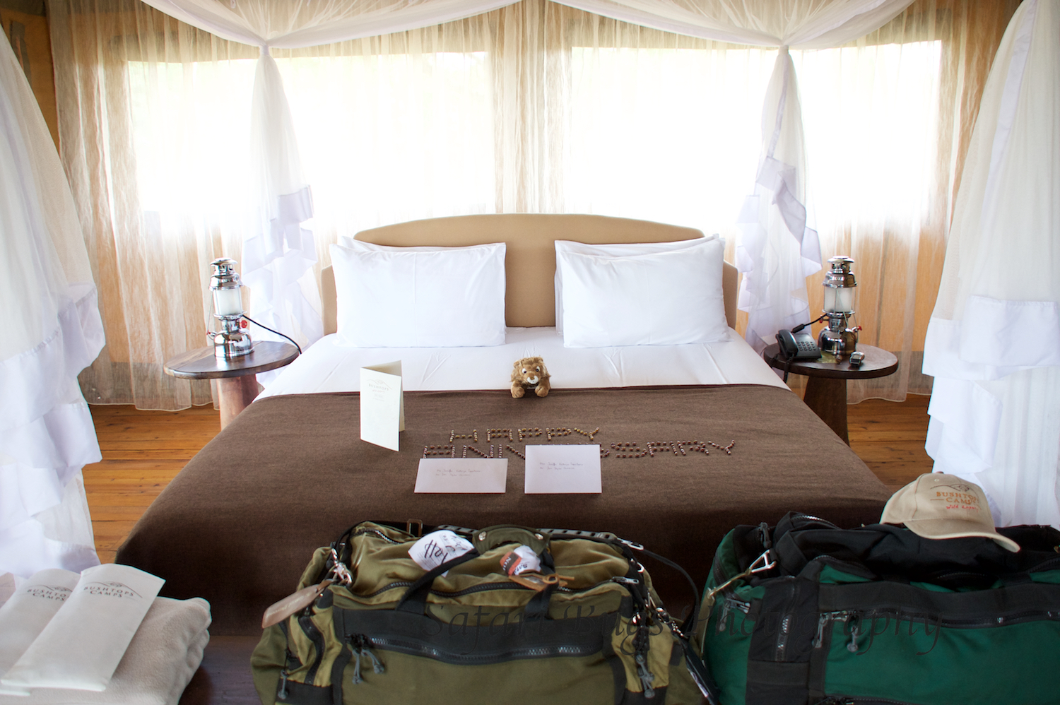 Safari Bugs Bushtops Camp (1).jpg