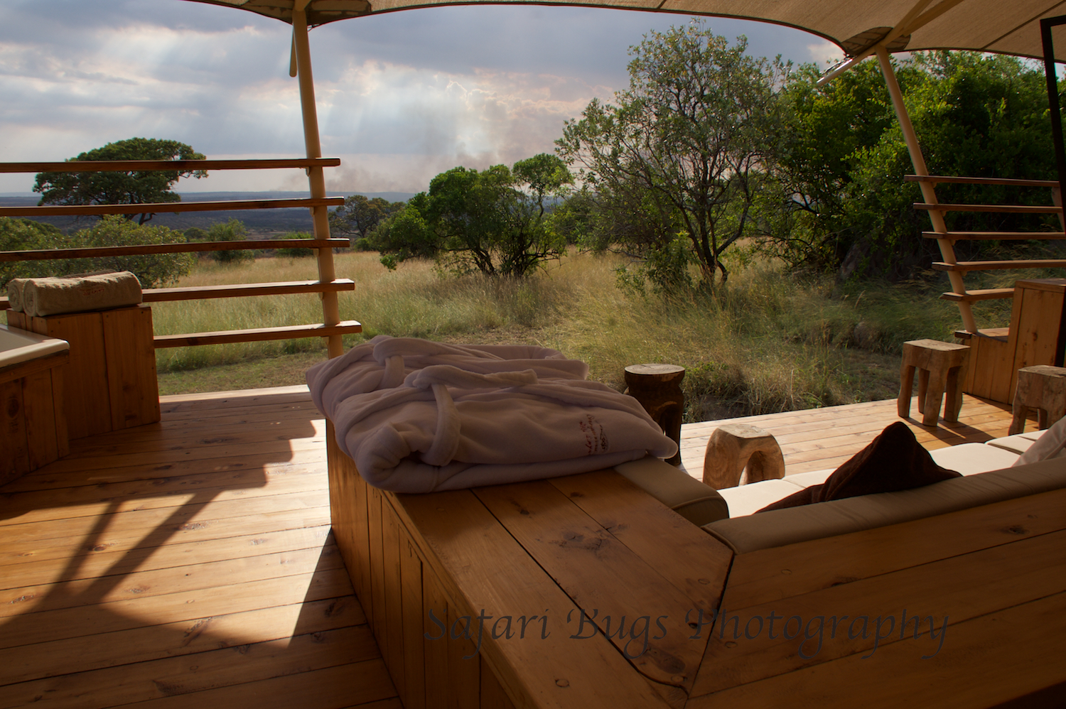 Safari Bugs Bushtops Camp (2).jpg