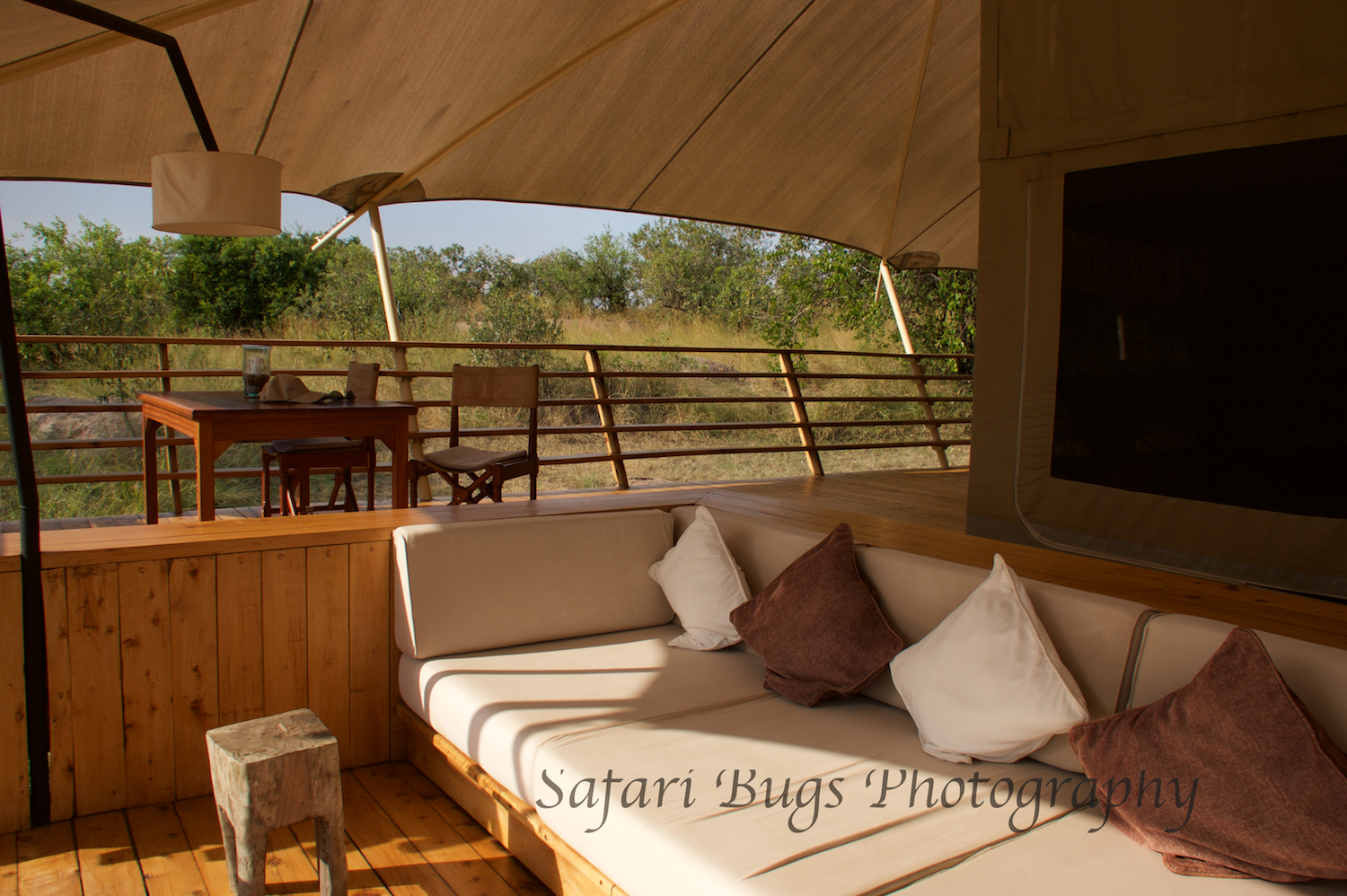 Safari Bugs Bushtops Camp (3).jpg
