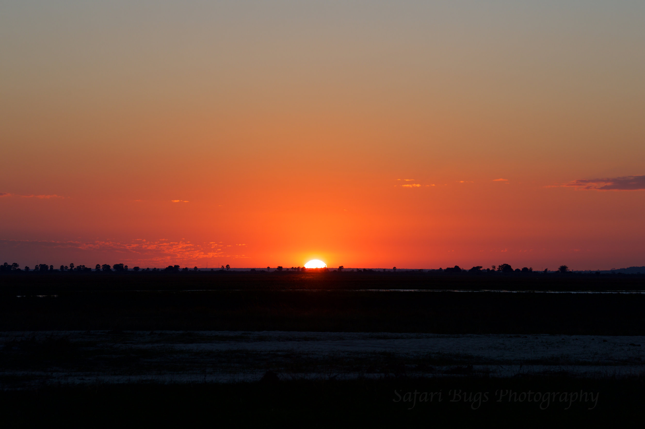 Chobe Game Lodge sunset.jpg