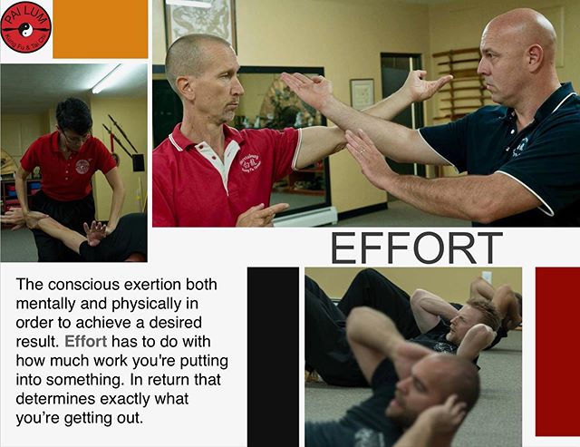 www.mbgkungfu.com #pailumcepa #pai #pailum #kungfu #martialarts #Wingchun #BruceLee #MMA #Taichi #karate #lifestyle #Shaolin #kicks #selfdefense #fitness #blackbelt #zen #meditation #arnis #Kali #escrima #irondummy