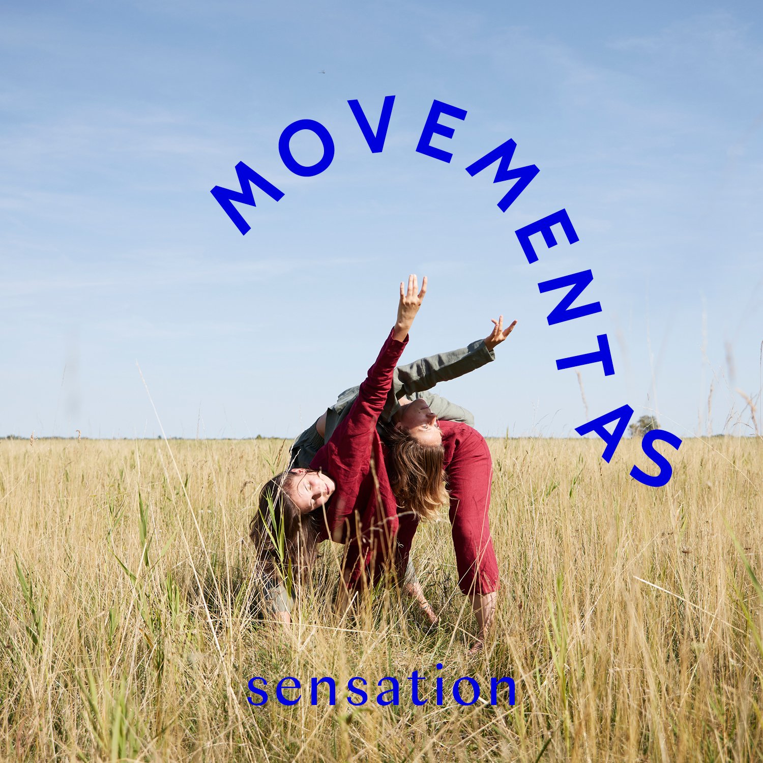 movement_as_feed_sensation2.jpg