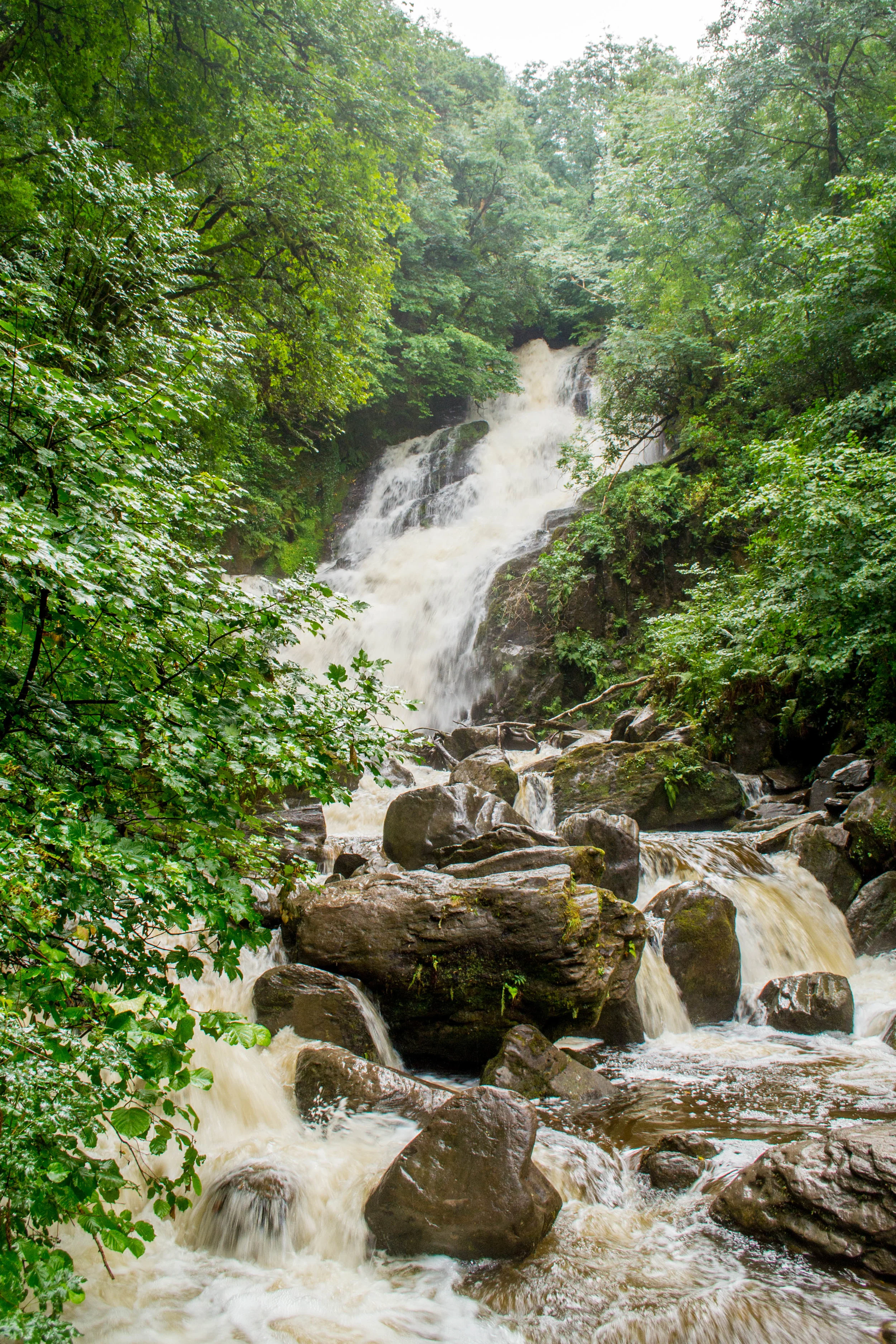 20180726-DSC_0009.jpg