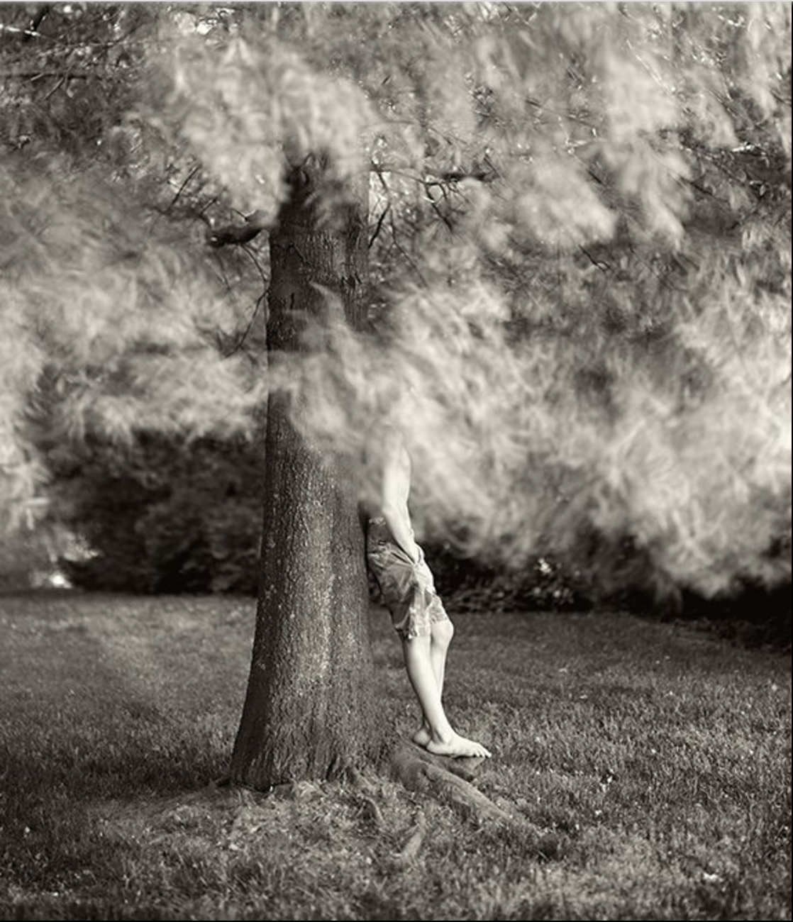 Foard Roberts, Linda. Measure in Time. 2014.