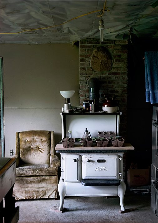 Butler, Sarah C. Sprouts on Stove.