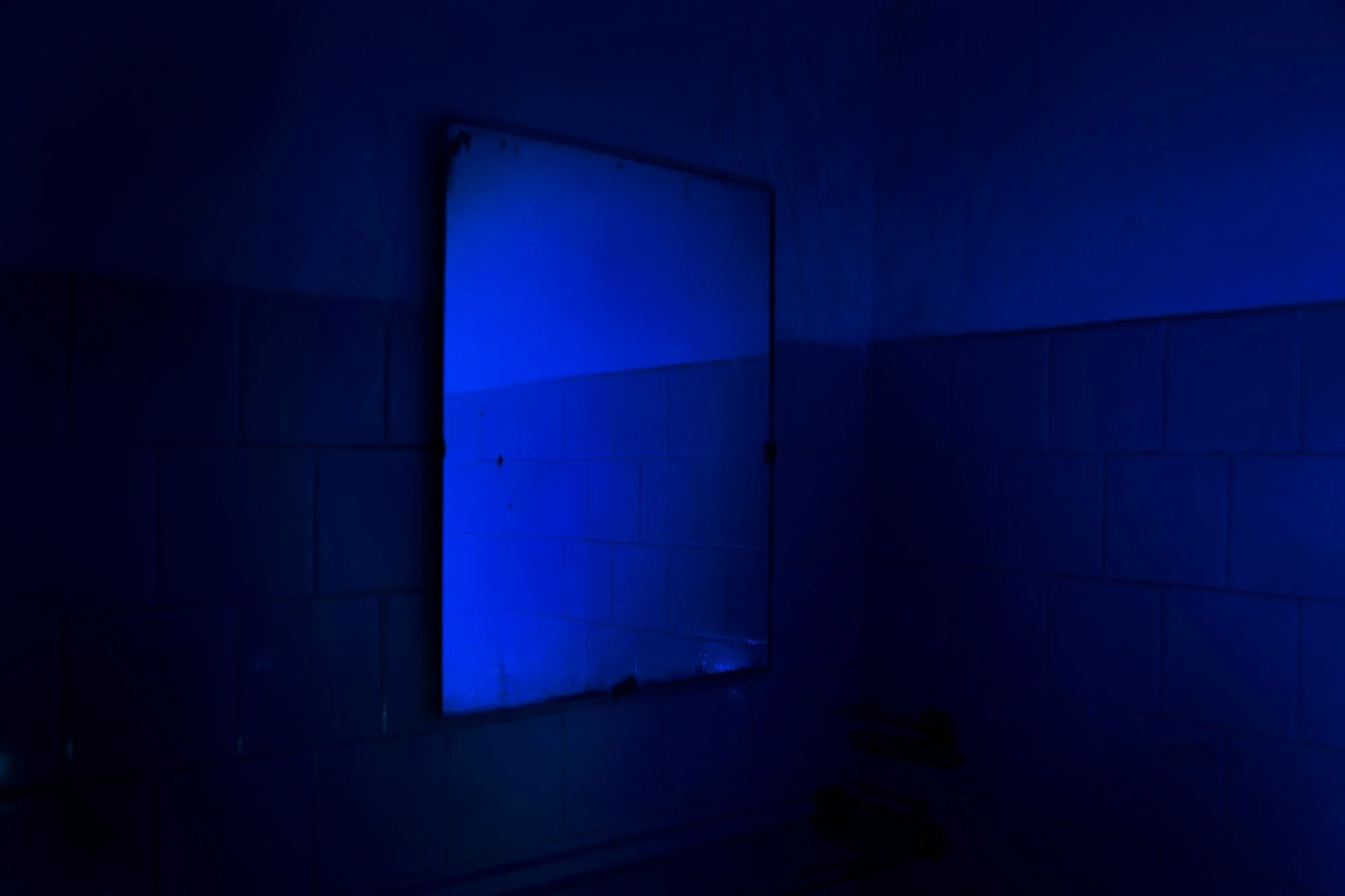 Untitled. Anupam Diwan
