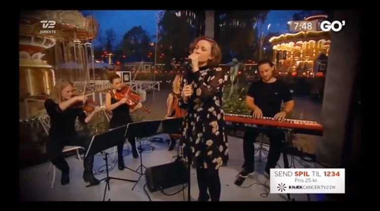 stine bremsen.jpg