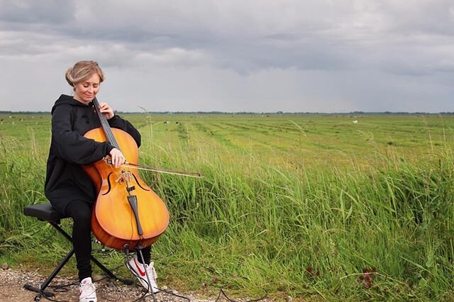 Last week music took us to this peaceful field, only a few meters from the German border. The cow&rsquo;s didn&rsquo;t really care about us, even if we felt the music pretty much 🌾🐄🤎 The performance and the programme &lsquo;Vi Fejrer S&oslash;nder