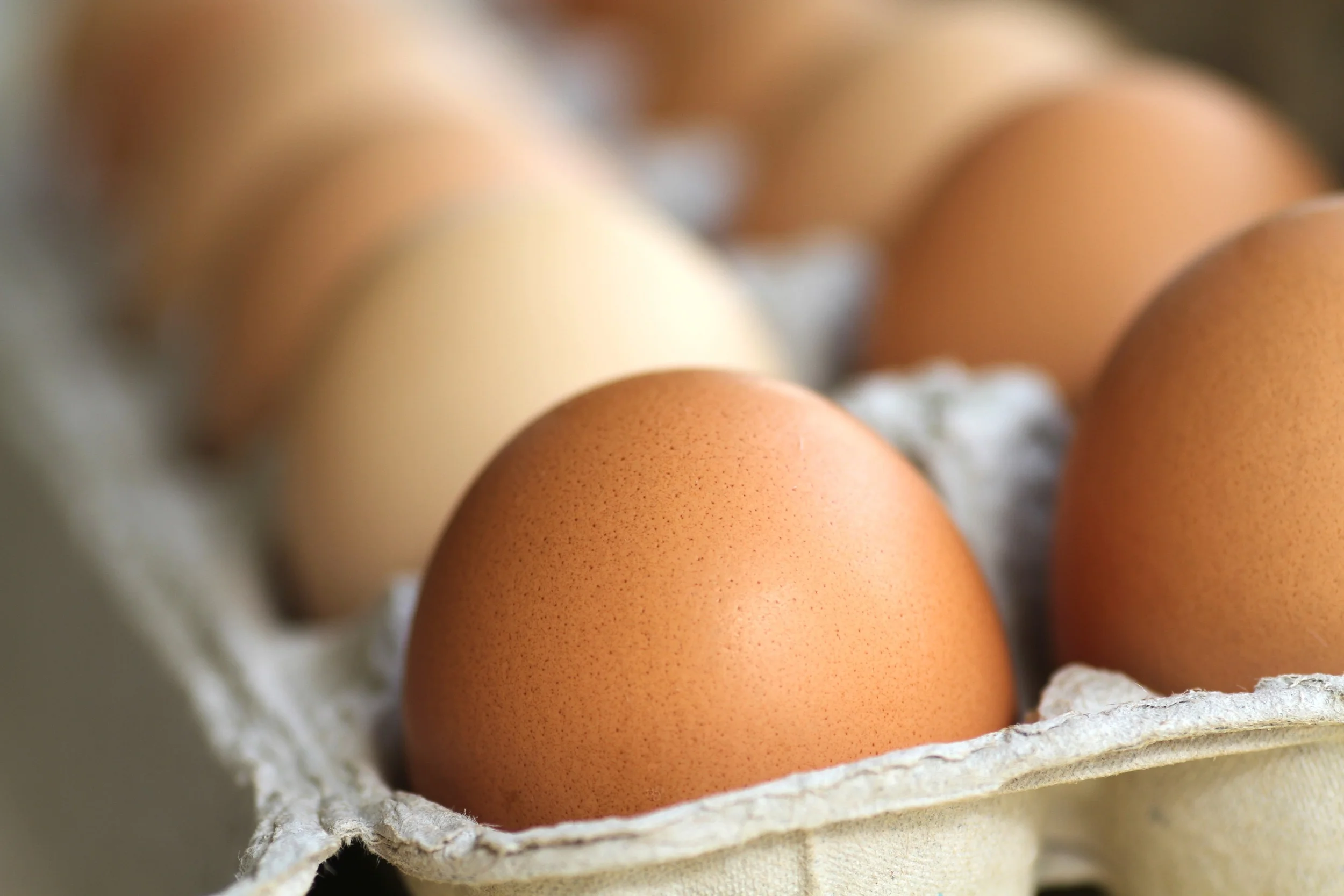 To Eat or Not to Eat: The Egg Yolk Myth