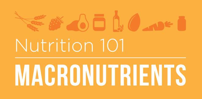 Understanding Macronutrients & Their Role in Your Body