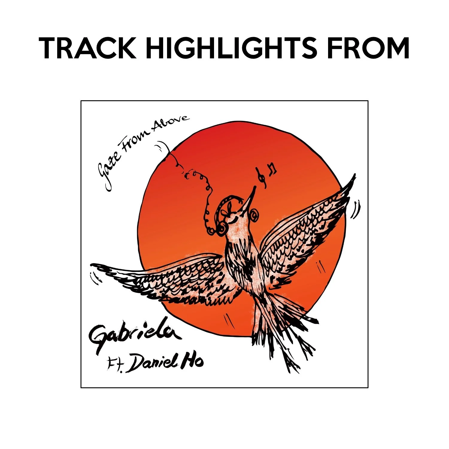 Track Highlights from Gaze From Above.jpg